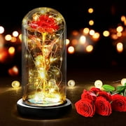 Galaxy Rose Gifts for Women, Artificial Flower Rose Light in A Glass Dome for Christmas, Anniversary, Valentine's Day, Mother's Day, Birthday (Red Flower Warm Light)