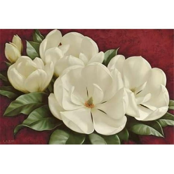 Galaxy of Graphics PDX10697LARGE Magnolia I Poster Print by Igor Levashov, 24 x 36 - Large