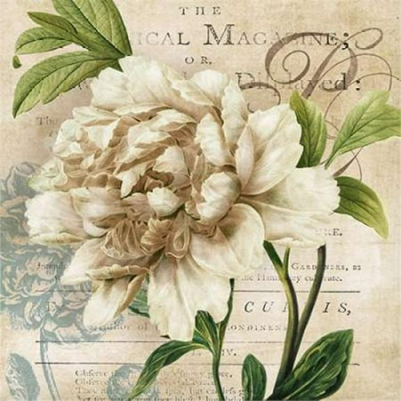 Galaxy of Graphics PDX14987SMALL Peony Botanical Poster Print by Carol Robinson, 12 x 12 - Small