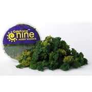 Gale Force Nine - Hobby Round Summer 3 Color Clump Foliage Mix