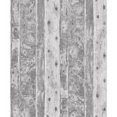 thumbnail image 1 of Galerie Wallcoverings  Grunge Wooden Plank Effect Non-woven Matte Wallpaper Roll 33 feet long x 21 inches wide - Grey, 1 of 4
