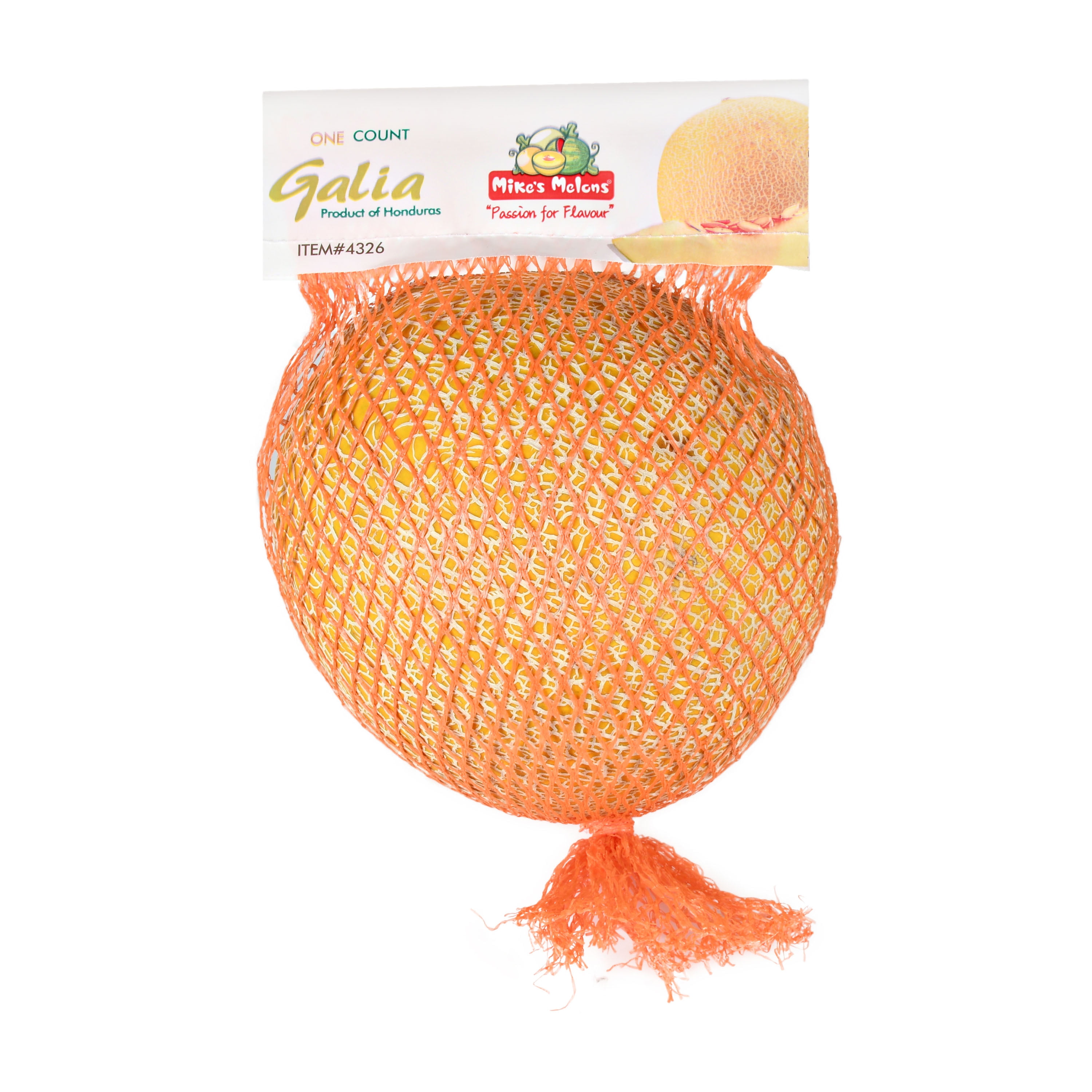 Galia Melon