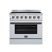 Galiano 36 Inch Freestanding Electric range, 5 radiant burners, 5.36 cf. True Convection oven, White