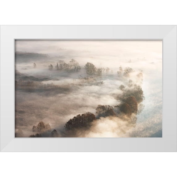 Galimberti, Marco 14x11 White Modern Wood Framed Museum Art Print Titled - Trees In The Fog