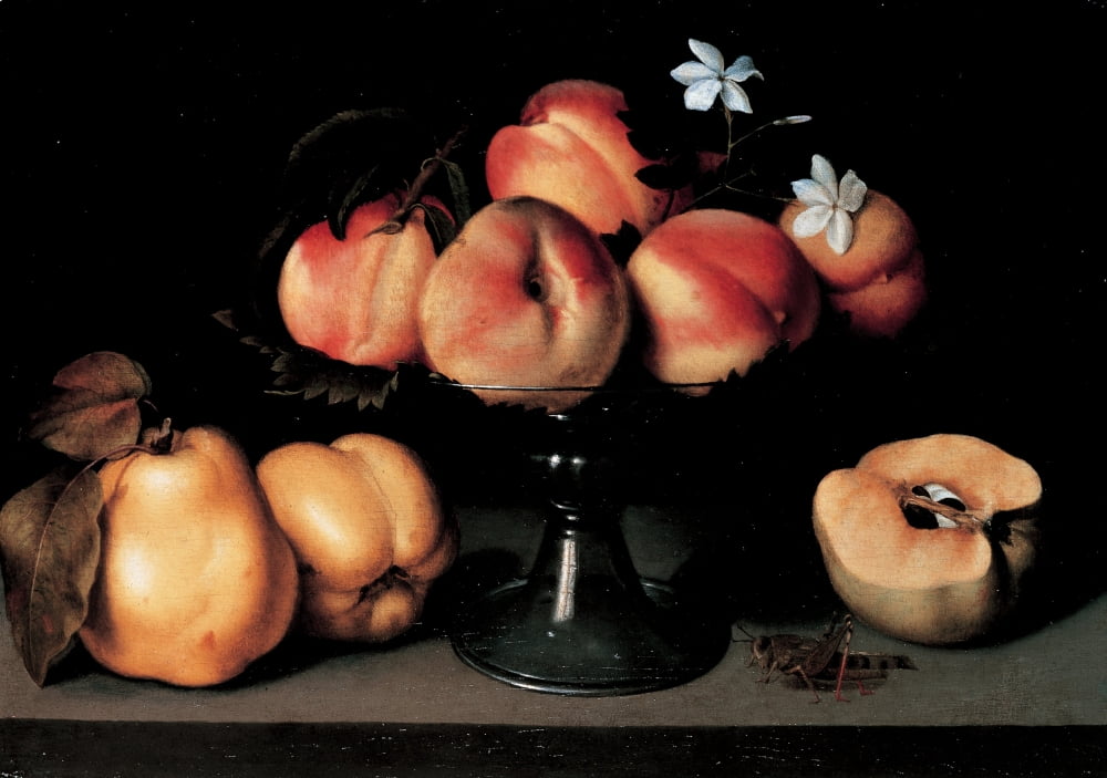 Galizia Fede Canvas Art - (36 x 24)
