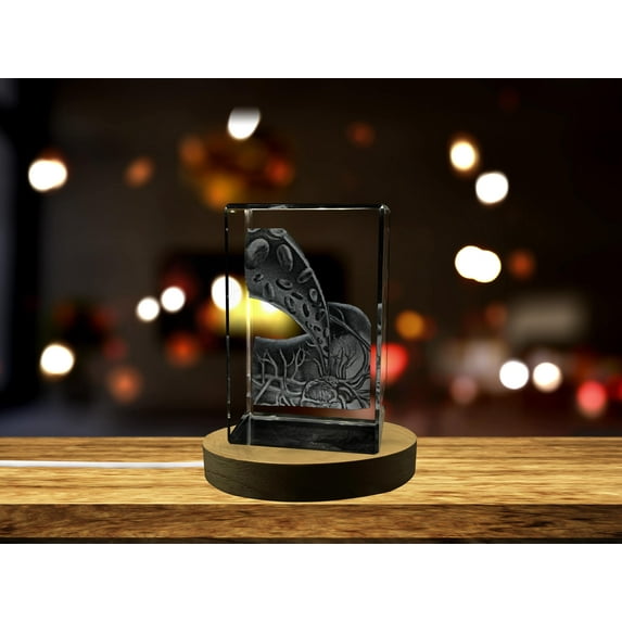 Gallbladder Art | 3D Engraved Crystal Keepsake | Personalized Gift | Clear - AB Crystal Collection