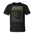 thumbnail image 1 of Gallegos Name Gallegos Facts TShirt, 1 of 6
