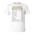 thumbnail image 1 of Gallegos Name Gift Gallegos Facts Unisex Jersey Crewneck Tshirt, 1 of 6