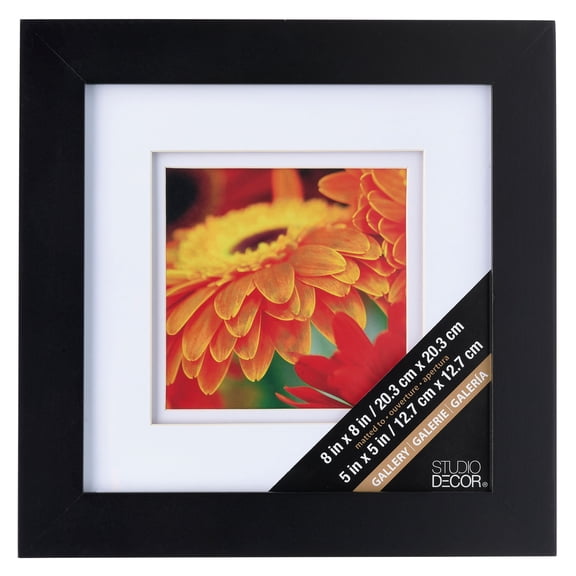 Studio Decor Gallery Black Frame with Double Mat