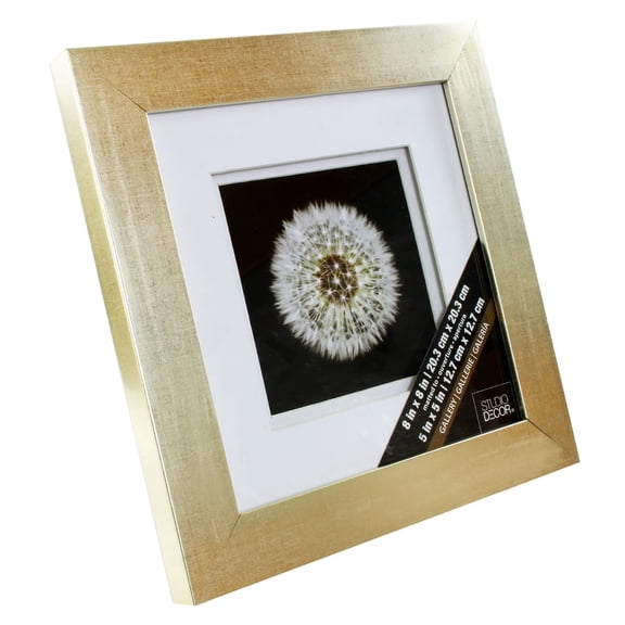 Studio Decor Gallery Champagne Frame with Double Mat