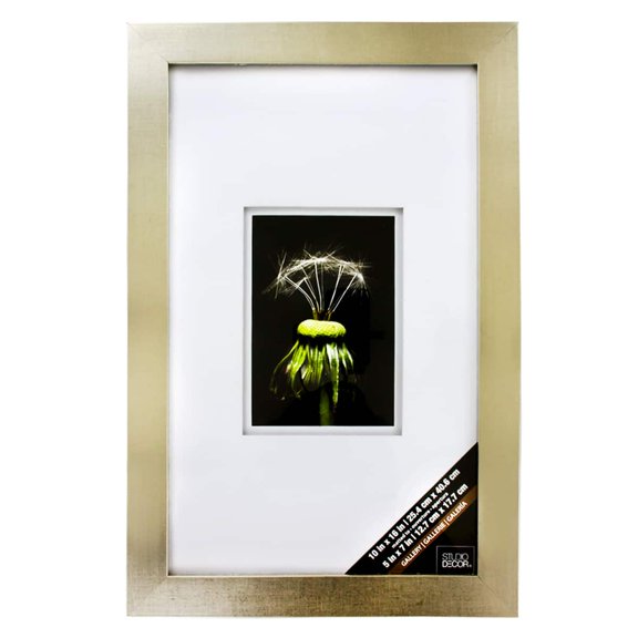 Studio Decor Gallery Champagne Wall Frame with Double Mat