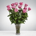 thumbnail image 1 of Gallery Flower Shop Dozen Long Stemmed Lavender Roses - Standard, 1 of 1
