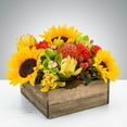 thumbnail image 1 of Gallery Flower Shop Picnic - Standard, 1 of 1