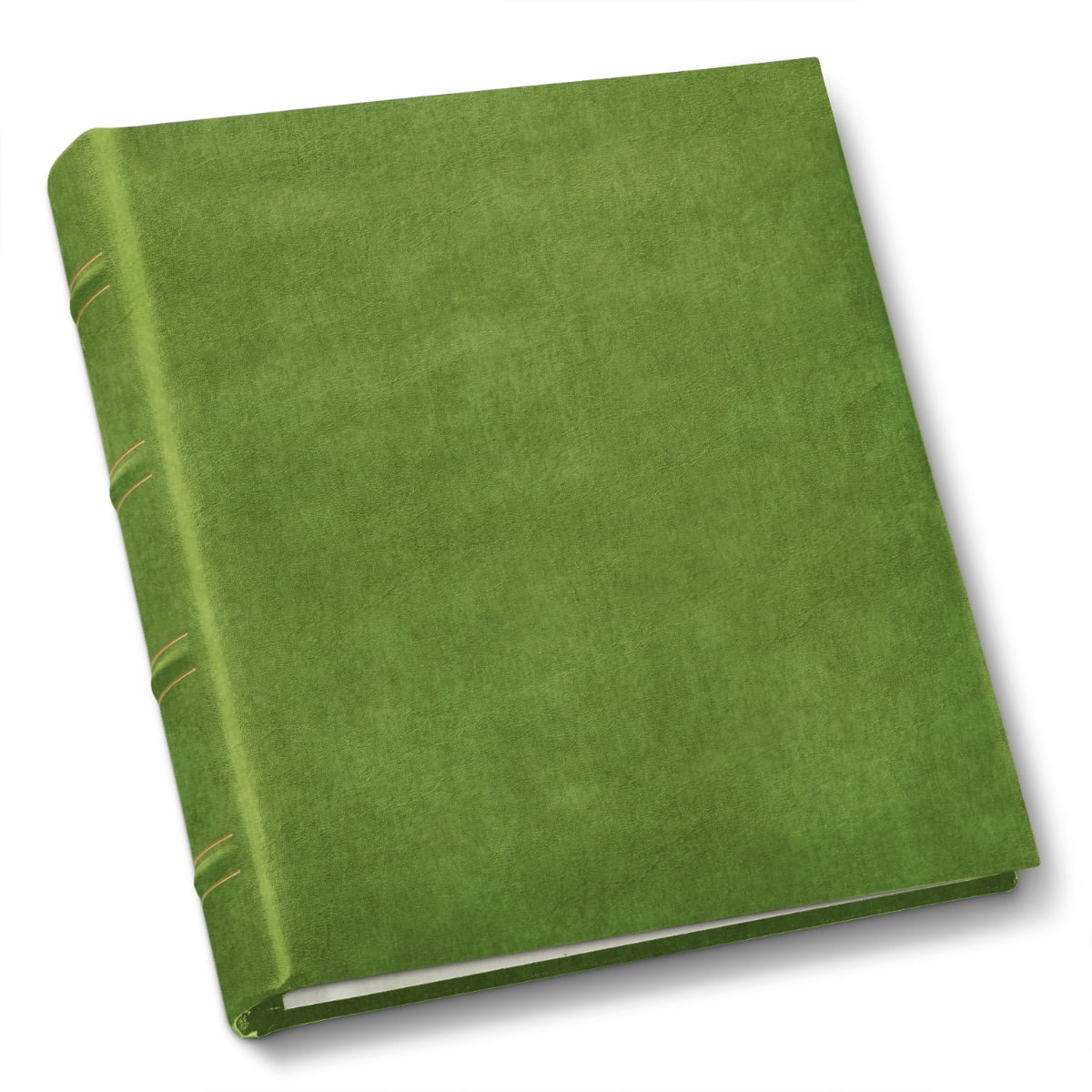 gallery-leather-compact-photo-album-acadia-lime-9-25-x8-0