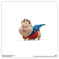 thumbnail image 1 of Gallery Pops DC Comics DC League of Super-Pets - PB Wall Art, Unframed Version, 12" x 12", 1 of 5
