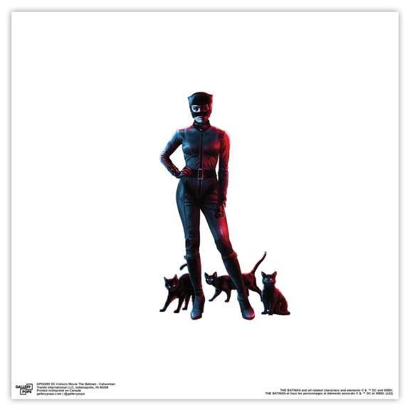 Gallery Pops DC Comics The Batman - Catwoman Wall Art, Unframed Version, 12" x 12"