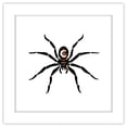 thumbnail image 1 of Gallery Pops Disney Hocus Pocus 2 - Spider Wall Art, White Framed Version, 12" x 12", 1 of 5