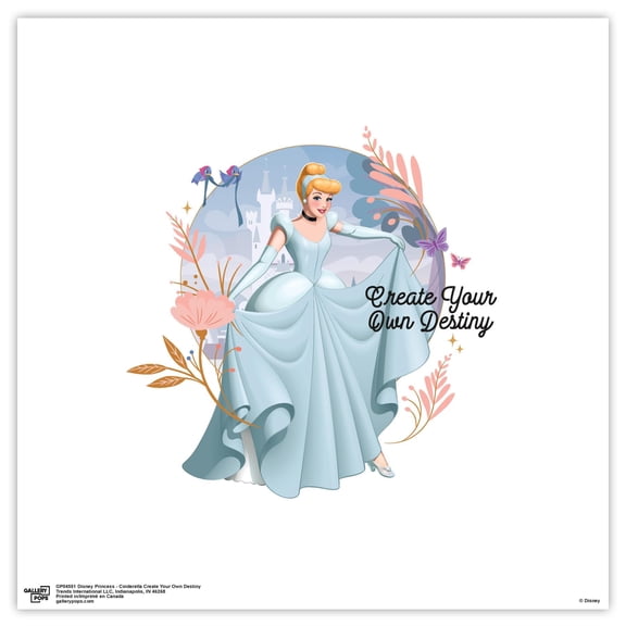 Gallery Pops Disney Princess - Cinderella Create Your Own Destiny Wall Art, Unframed Version, 12" x 12"