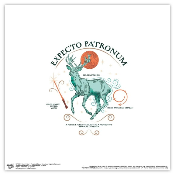 Gallery Pops Harry Potter - Flora And Fauna Herbology Expecto Patronum Wall Art, Unframed Version, 12" x 12"