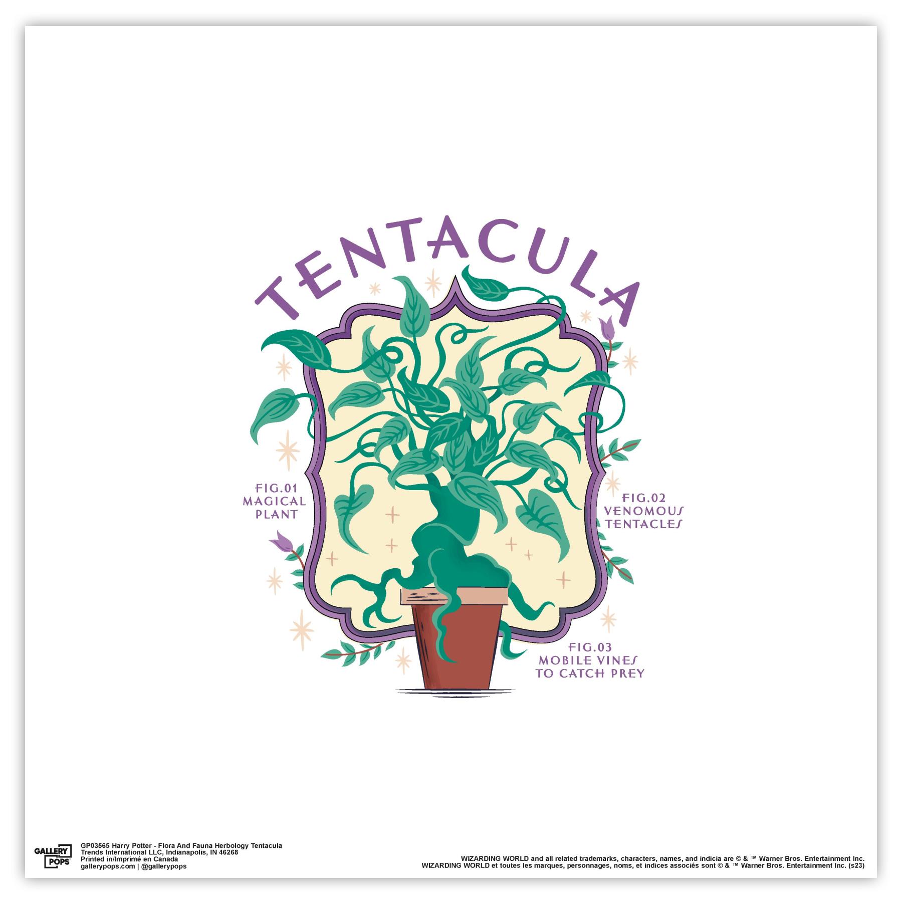 Gallery Pops Harry Potter - Flora And Fauna Herbology Tentacula Wall Art,  White Framed Version, 12\, image size:1800x1800