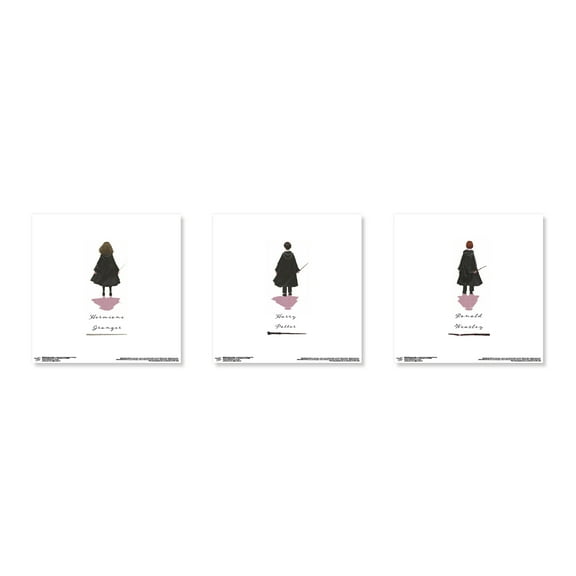 Gallery Pops Harry Potter - Looking Forward Character Wall Art Bundle (3-Pack)