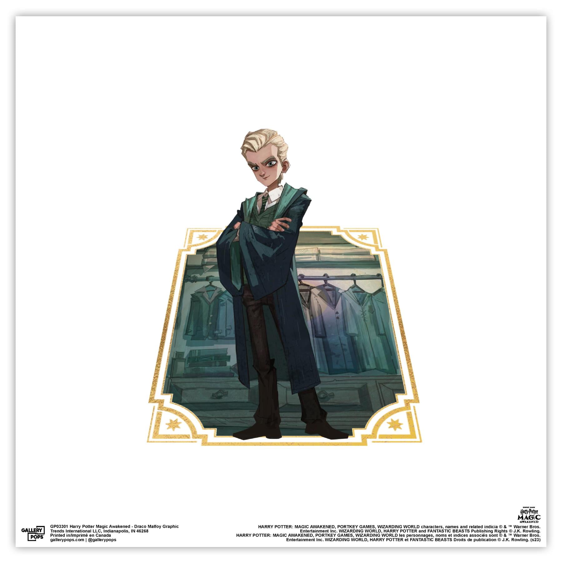 Gallery Pops Harry Potter Magic Awakened - Draco Malfoy Graphic Wall Art,  Unframed Version, 12\, image size:1800x1800