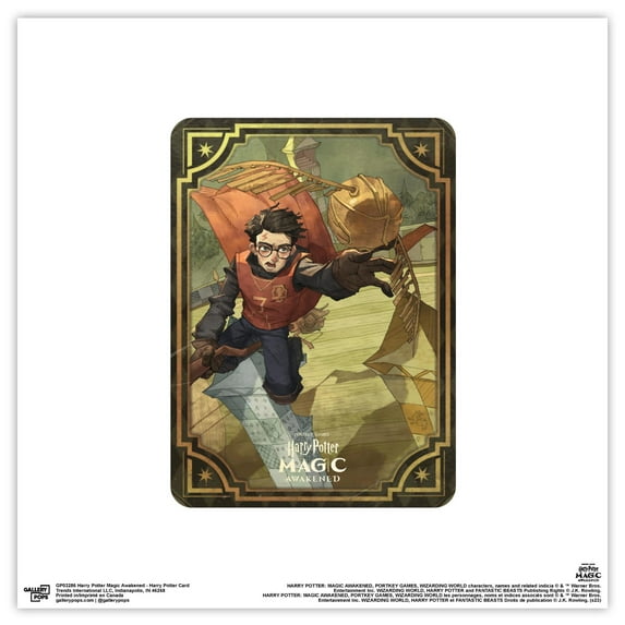 Gallery Pops Harry Potter Magic Awakened - Harry Potter Card Wall Art, Unframed Version, 12" x 12"