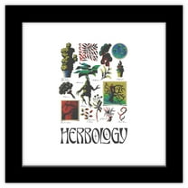 Gallery Pops Harry Potter - Potions and Spells Herbology Wall Art, Black Framed Version, 12" x 12"