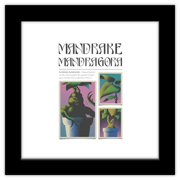 Gallery Pops Harry Potter - Potions and Spells Mandrake Mandragora Wall Art, Black Framed Version, 12" x 12"