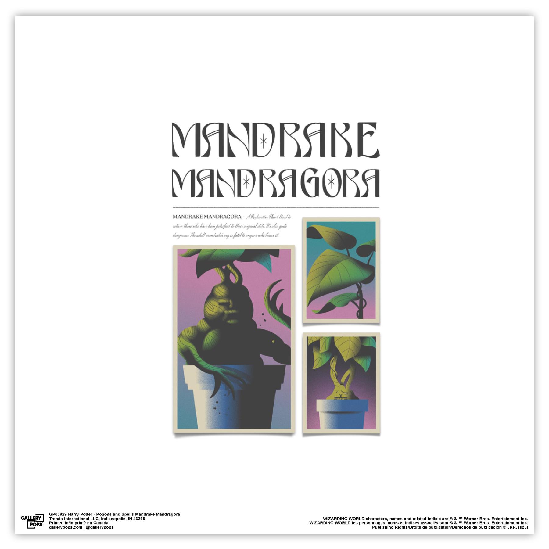 Gallery Pops Harry Potter - Potions and Spells Mandrake Mandragora Wall ...