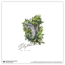 Gallery Pops Harry Potter - Slytherin Crest Romance Wall Art, Unframed Version, 12" x 12"