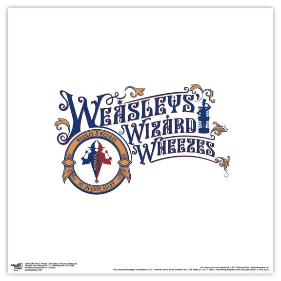 Gallery Pops® Harry Potter - Weasleys' Wizard Wheezes Wall Art