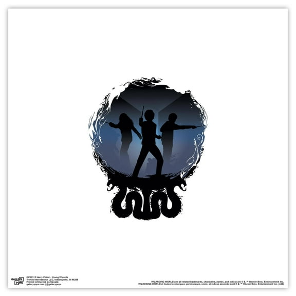 Gallery Pops Harry Potter - Young Wizards Wall Art, Unframed Version, 12" x 12"