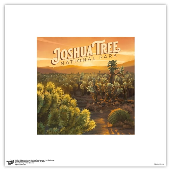 Gallery Pops Lantern Press - Joshua Tree National Park California Wall Art, Unframed Version, 12" x 12"