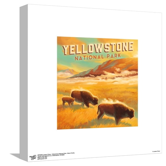 Gallery Pops Lantern Press - Yellowstone National Park - Bison Family Canvas Wall Art, Unframed Version, 12" x 12"