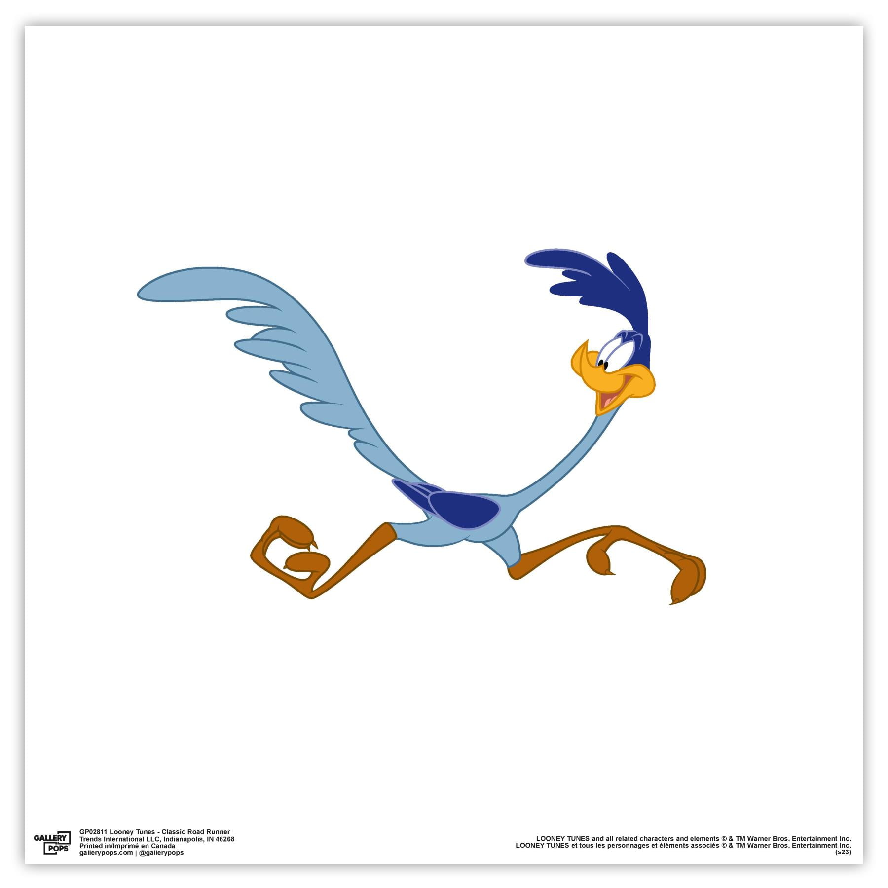 Gallery Pops Looney Tunes - Classic Road Runner Wall Art