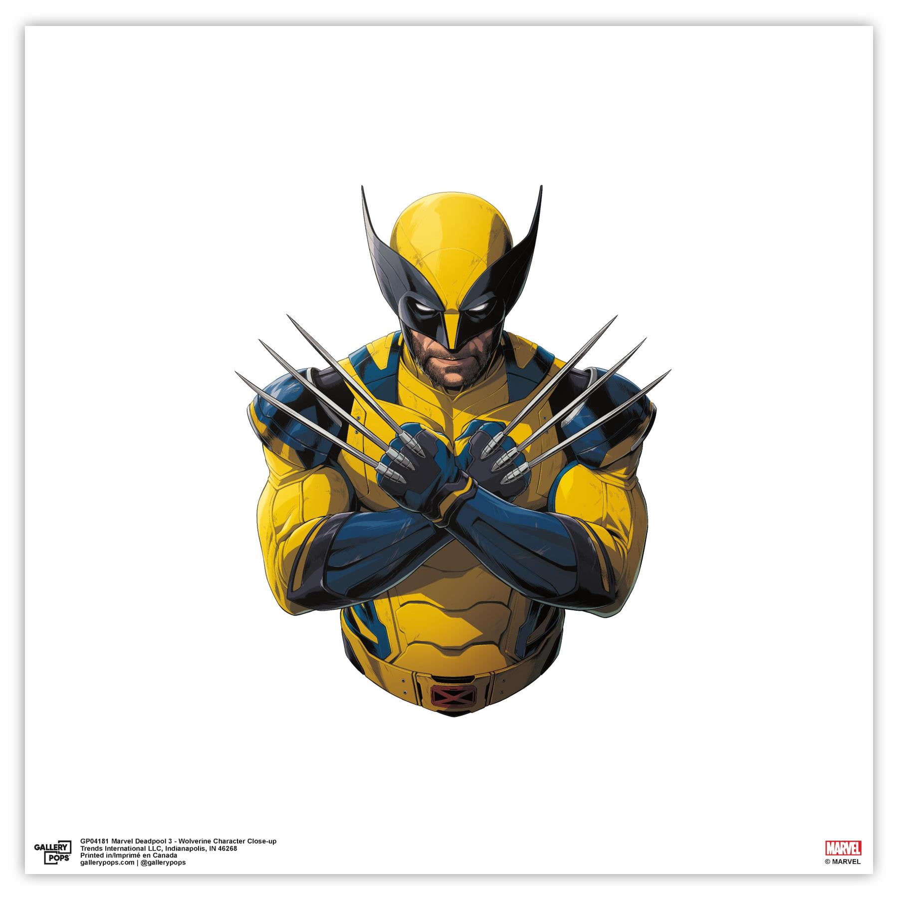 Gallery Pops Marvel Deadpool & Wolverine - Wolverine Character Close-up ...