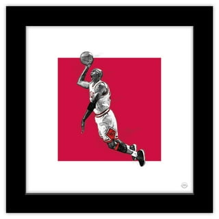 Michael jordan airwalk outlet