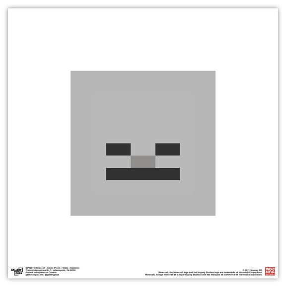 Gallery Pops Minecraft: Iconic Pixels - Mobs - Skeleton Wall Art, Unframed Version, 12" x 12"
