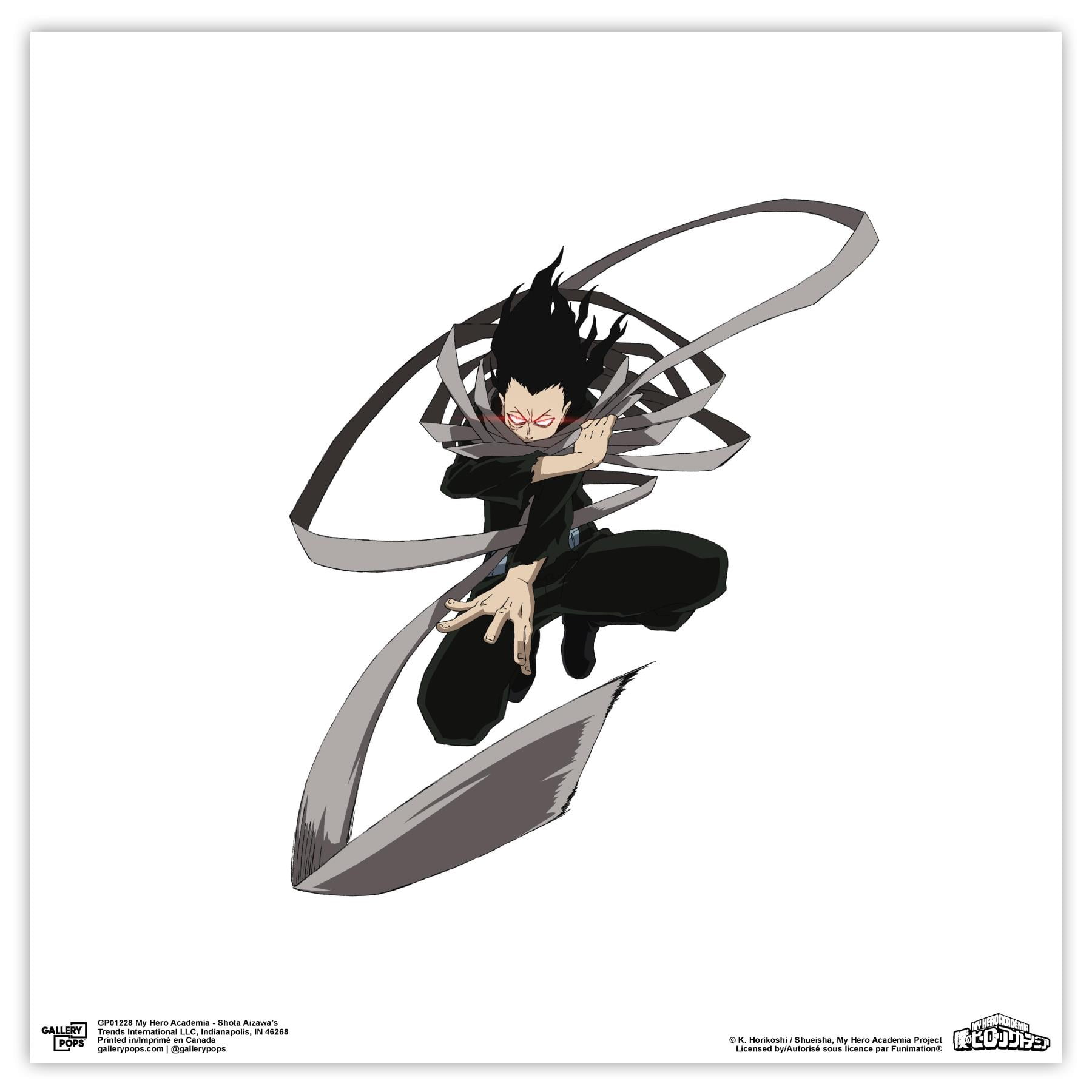 Gallery Pops My Hero Academia - Shota Aizawa's Wall Art, Unframed