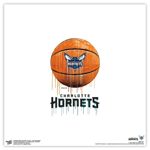 Gallery Pops NBA Charlotte Hornets - Drip Basketball Wall Art, Unframed Version, 12" x 12"
