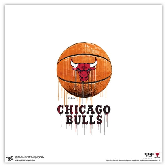 Gallery Pops NBA Chicago Bulls - Drip Basketball Wall Art, Unframed Version, 12" x 12"