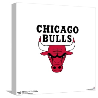 Trends International Chicago Bulls Accessories in Chicago Bulls