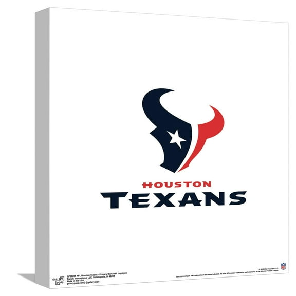Gallery Pops NFL Houston Texans - Primary Mark Logotype Canvas Wall Art, Unframed Version, 12" x 12"