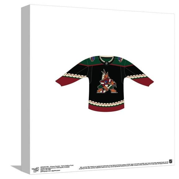 Gallery Pops NHL - Arizona Coyotes - Home Uniform Front Canvas Wall Art, Unframed Version, 12" x 12"