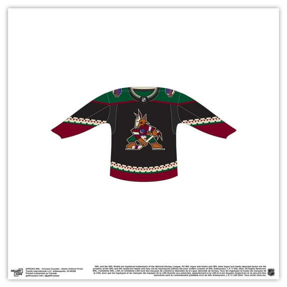 Gallery Pops NHL - Arizona Coyotes - Home Uniform Front Wall Art, Unframed Version, 12" x 12"