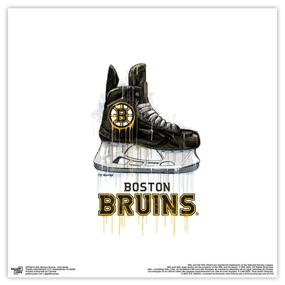 Gallery Pops NHL Boston Bruins - Drip Skate Wall Art, Unframed Version, 12" x 12"