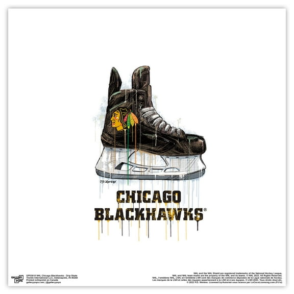 Gallery Pops NHL Chicago Blackhawks - Drip Skate Wall Art, Unframed Version, 12" x 12"