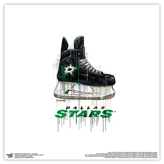 Gallery Pops NHL Dallas Stars - Drip Skate Wall Art, Unframed Version, 12" x 12"