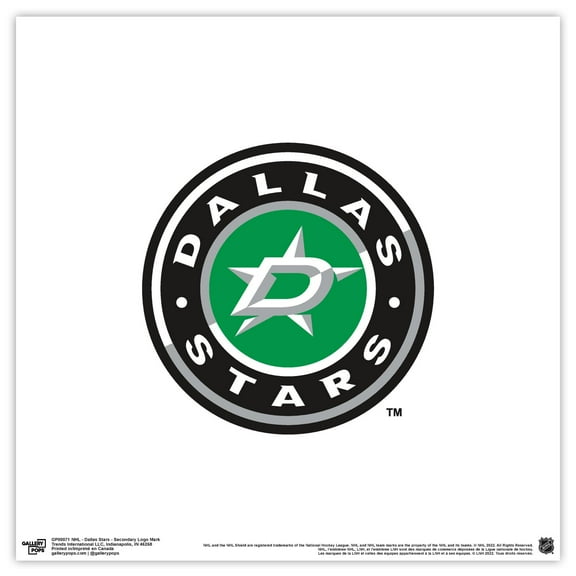 Gallery Pops NHL Dallas Stars - Secondary Logo Mark Wall Art, Unframed Version, 12" x 12"